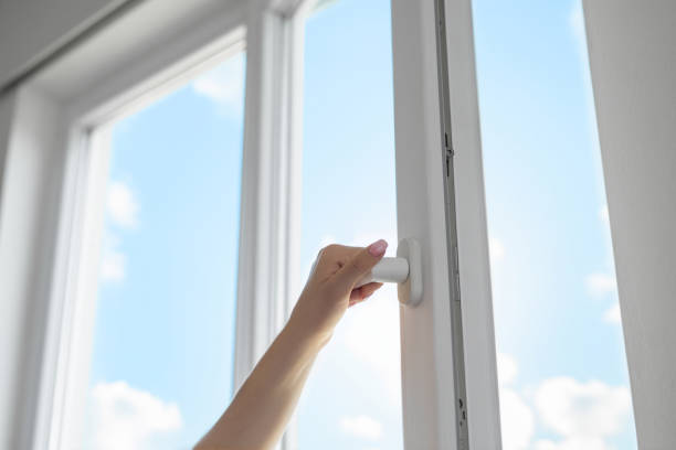 Best Energy-Efficient Windows in Dunedin, FL